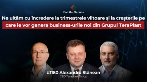 Alexandru Stânean, TeraPlast: „Al doilea trimestru a fost un pansament, dar încă nu suntem vindecați”
